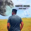 About Hariye Geche Song